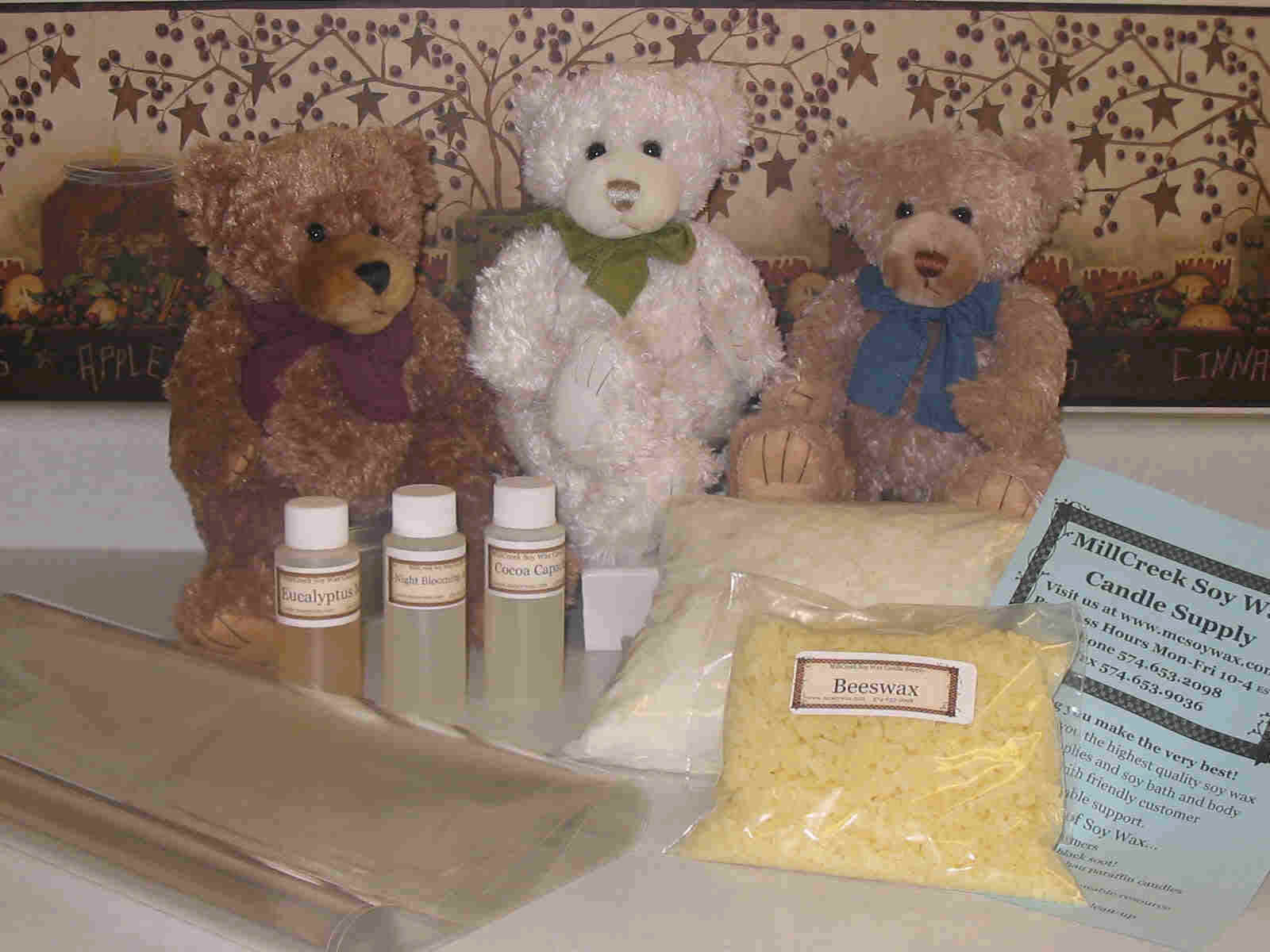 teddy bear cleaning kit